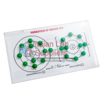 Formation of Sodium Ion Model STEM Science Lab Demonstration Model